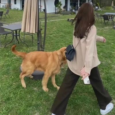 月黑风高